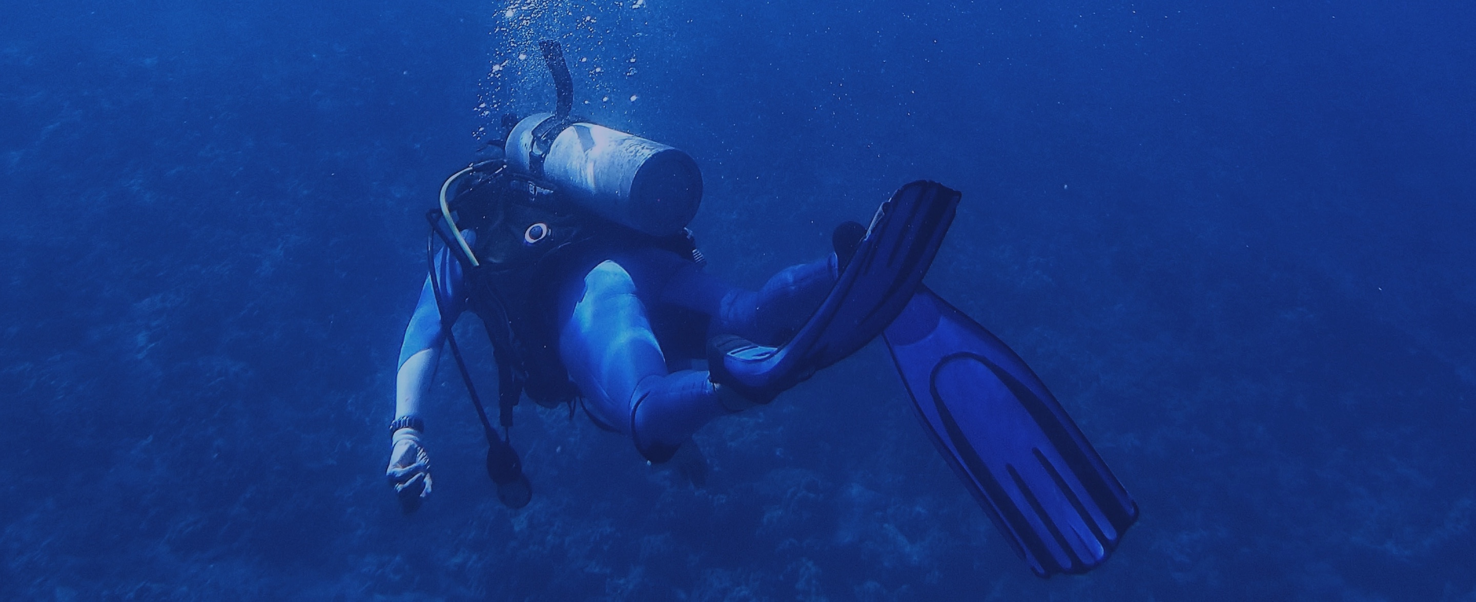 Kiwi Divers